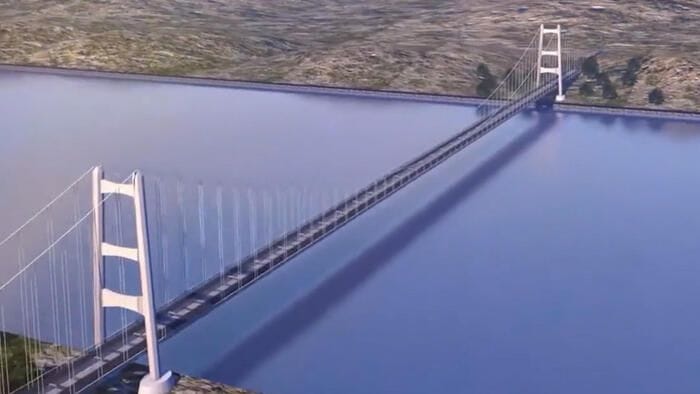 Lipu, 'ponte sullo Stretto minaccia rotta migratoria uccelli'