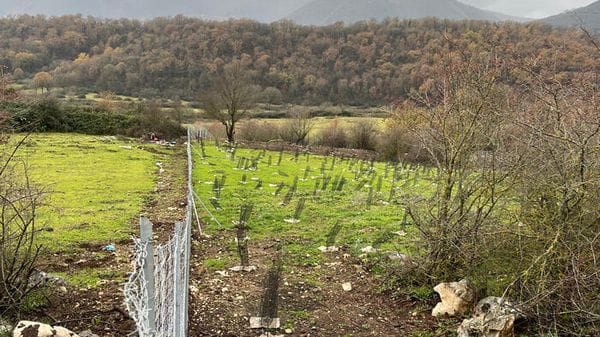 Trasmesso alla Ue il Piano nazionale di ripristino della natura