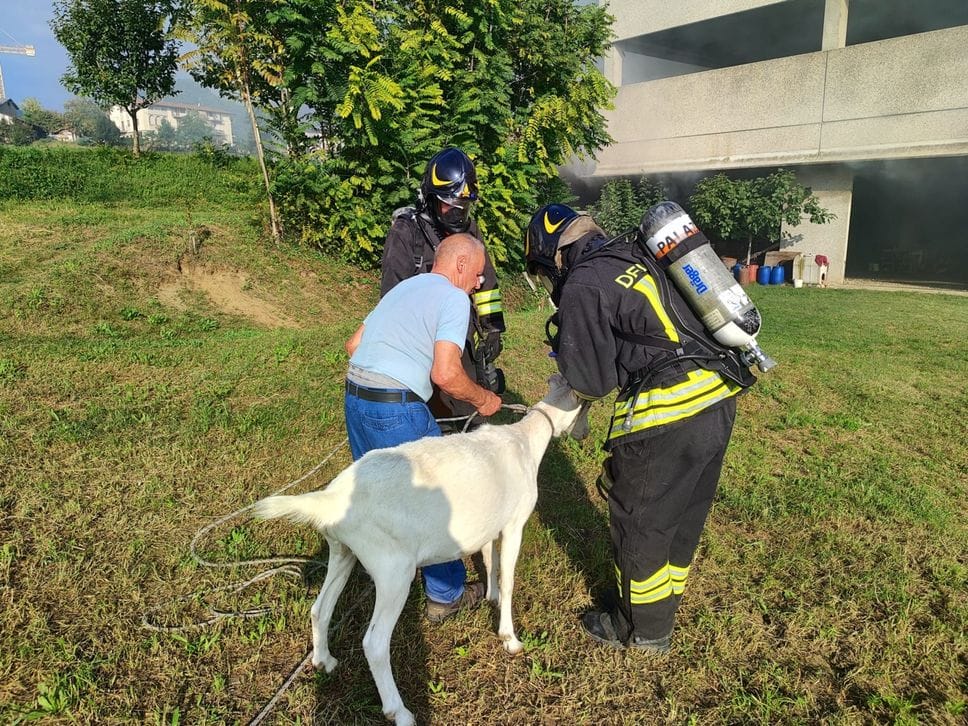 Villongo, incendio in un deposito agricolo: alta colonna di fumo - Foto