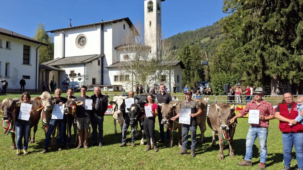 Alle fiere zootecniche sfilano le Regine