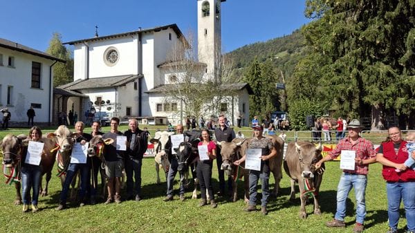 Alle fiere zootecniche sfilano le Regine