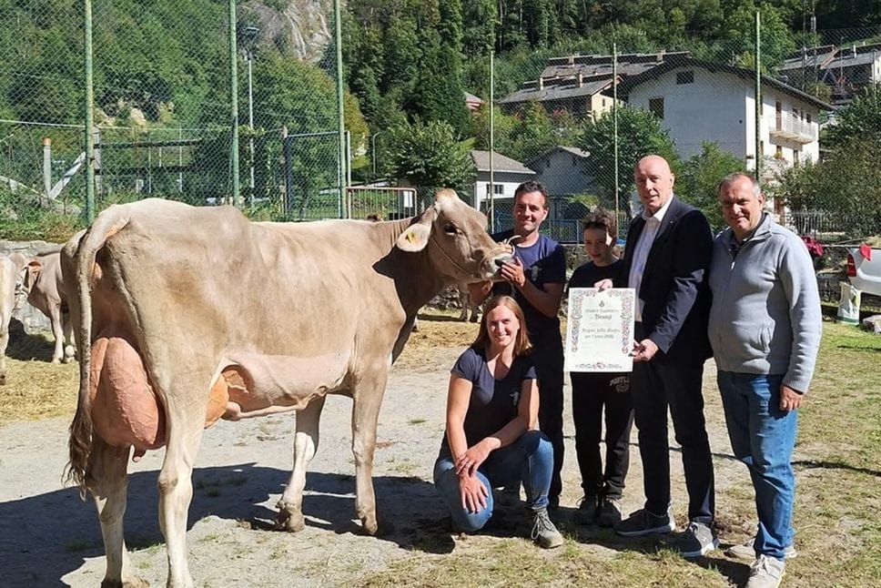 Alle fiere zootecniche sfilano le Regine