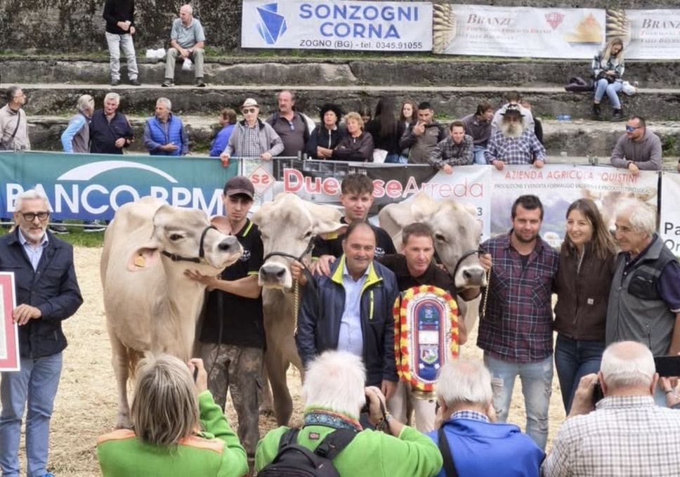 Alle fiere zootecniche sfilano le Regine
