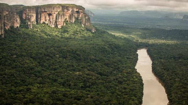 Amazzonia, la causa degli indigeni contro la maxi miniera d'oro alla Corte suprema