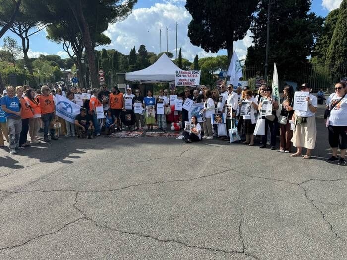 Associazioni, leggi severissime contro la tortura animale online