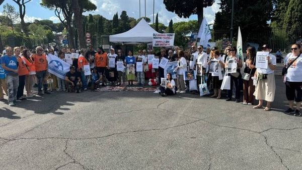 Associazioni, leggi severissime contro la tortura animale online