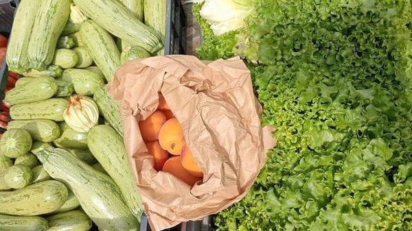 Dal gelato veg al cortometraggio anti spreco, piccoli Oscar 2026 per la sostenibilità