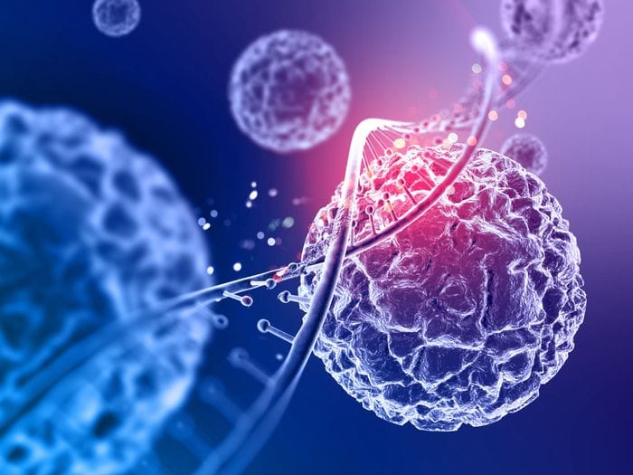 Dna e tumori, dalla fisica la chiave per capire il loro legame 