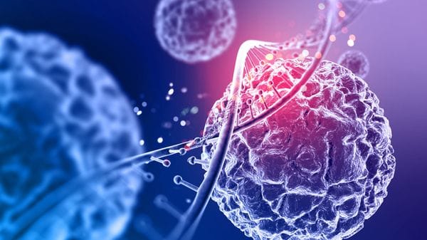 Dna e tumori, dalla fisica la chiave per capire il loro legame 