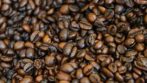 Fao celebra prima Giornata Internazionale del Caffè, un mercato da 34 miliardi dollari