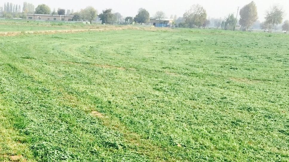 Tonnellate di rifiuti smaltite nei campi della Bergamasca, la Dda sequestra un impianto di biogas