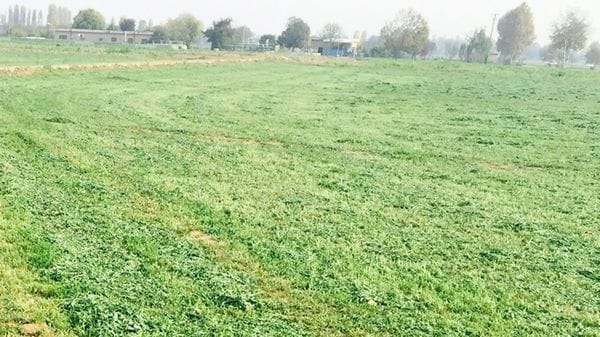 Tonnellate di rifiuti smaltite nei campi della Bergamasca, la Dda sequestra un impianto di biogas
