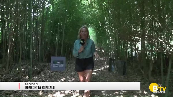 Gente e Paesi: tappa a Dalmine alla scoperta dell'Oasi il Picchio Verde