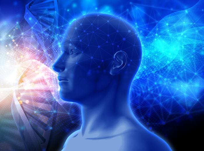 Socievoli o timidi, la personalità dipende anche dal Dna