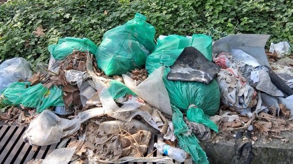 Rifiuti nelle rogge, il Consorzio: «5 milioni all’anno per pulire». E chiede le telecamere