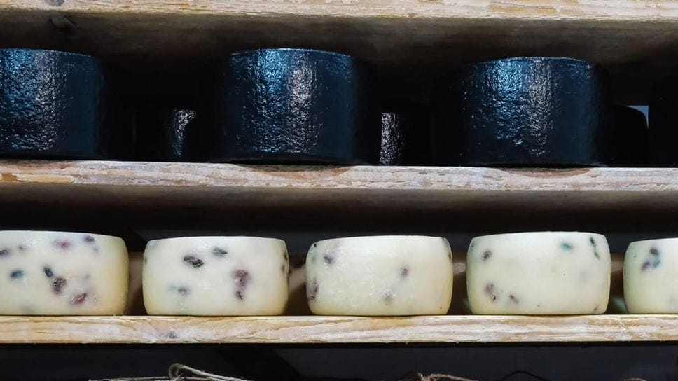  B2Cheese, torna a Bergamo l’evento che celebra il formaggio