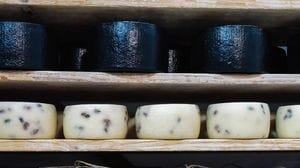 B2Cheese, torna a Bergamo l’evento che celebra il formaggio