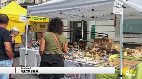 Valle Brembana, a settembre un mese in compagnia di «Fungolandia»
