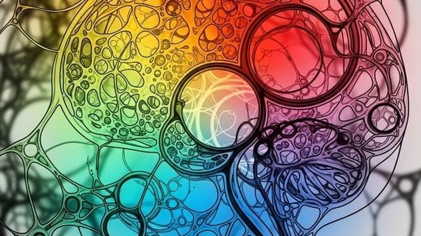 Così la menopausa cambia il cervello, in modo diverso da pubertà e gravidanza 
