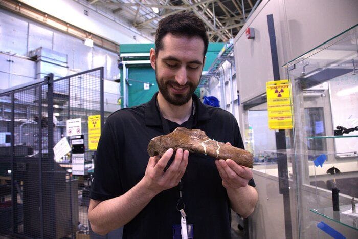 Frattura in guarigione cristallizzata nel tempo in una costola di T-rex  VIDEO
