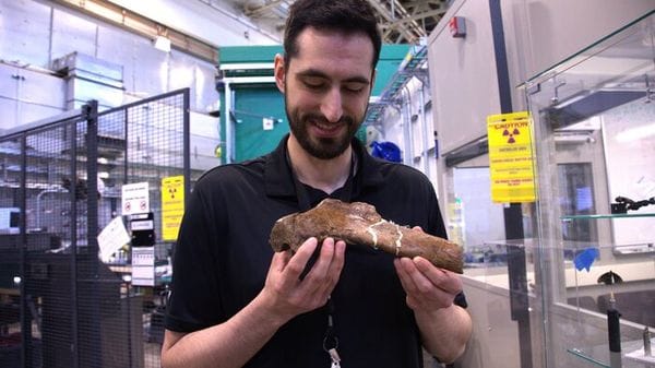 Frattura in guarigione cristallizzata nel tempo in una costola di T-rex  VIDEO