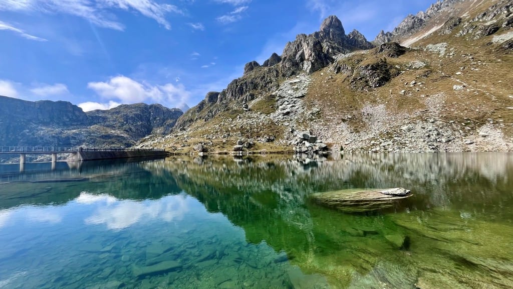 Tavolozza naturale