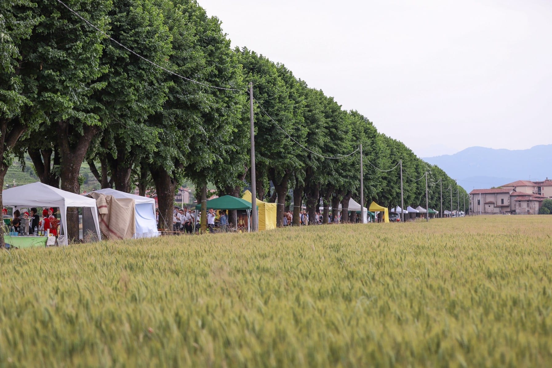 Torna «Lungo il Viale», tra i sapori della terra e i sentieri della memoria