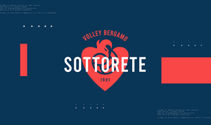Bergamo TV Sottorete